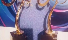 大爆料创意视频,一场视觉与思维的盛宴